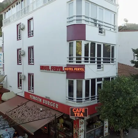 费瑞尔李曼酒店 费特希耶
