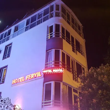 酒店 费瑞尔李曼酒店 *